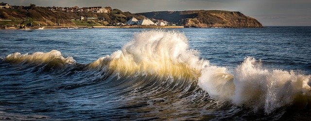 Olas