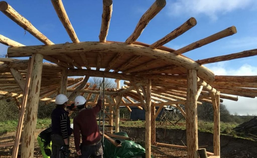 Construyendo con madera