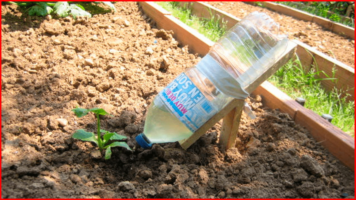 Cómo Hacer Un Sistema De Riego Por Goteo Casero Con Botellas De ...