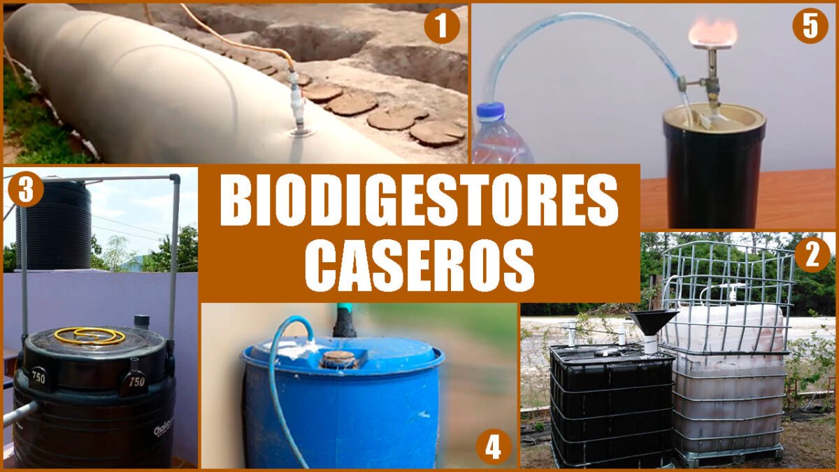 TOP 5 Biodigestores Caseros Que T Mismo Puedes Construir V DEO